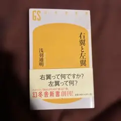 右翼と左翼