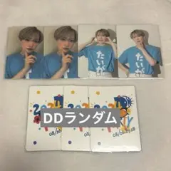 パンダドラゴン たいが トレカ DDP2024