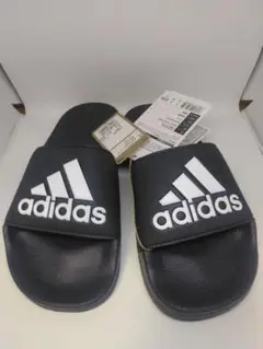 Item thumbnail for item 0b09185a-109f-4e68-82e9-a7918e9f5b29