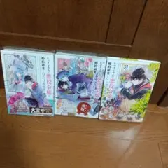 ヒロイン不在の悪役令嬢は婚約破棄してワンコ系従者と逃亡する 1～3