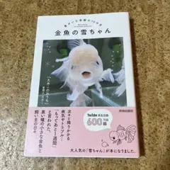 金魚の雪ちゃん～君がいた奇跡の10か月～