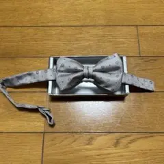 Item thumbnail for item 16de64ae-ab41-48c0-a77e-ab4d28de50be