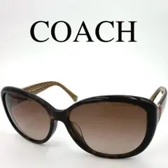 Item thumbnail for item ed6bae59-fa75-4c4e-9afd-1048a03a11af