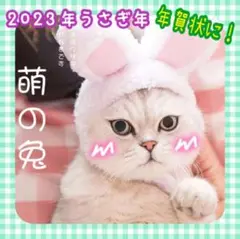 猫 帽子 うさぎ 2023年 卯年 年賀状 干支 可愛い 被り物