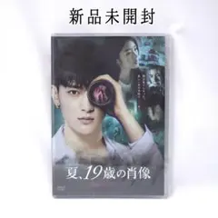 新品 夏、19歳の肖像 ファン・ズータオ/ヤン・ツァイユー 島田荘司