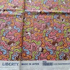 リバティ　ファブリックス　タナローン　スクイグリーストーリー　2㍍