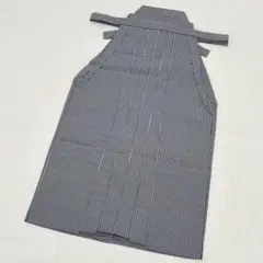 Item thumbnail for item 752ce0c3-b6c2-40c6-828f-917d9b9b0a8f