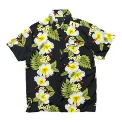 Item thumbnail for item 89c8b298-a850-4423-8355-3b79678e8b35