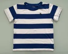 U.S. POLO ASSN. 青と白のストライプ Tシャツ 半袖 140㎝