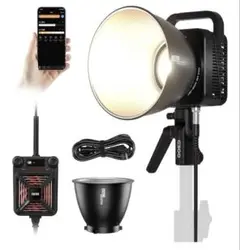 Item thumbnail for item 8b29fd35-62c8-4019-8e84-8852cf4bccfc