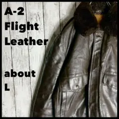 Item thumbnail for item f6775b6b-3415-4c50-a695-a532f9bfb7b7