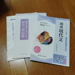 送込　匿名配送　3点セット　未使用　現代文　共通テスト対策　大学受験　錬成現代文