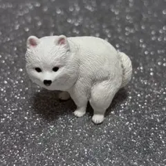 ふんばり〜ぬ ポメラニアン