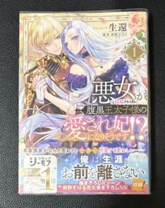 悪女(と誤解される私)が腹黒王太子様の愛され妃になりそうです!?①