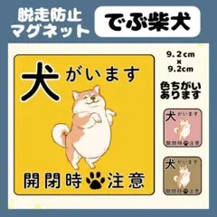 【でぶ柴犬】マグネット　飛び出し注意　犬がいます　玄関　注意　脱走防止　屋外