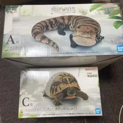 一番くじ　爬虫類&両生類　A賞　アオジタトカゲ　　C賞　ヘルマンリクガメ