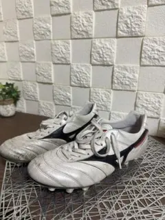 モレリア2Japan 25.5