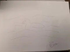 アヒルの絵【川で寝てるアヒル】