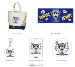 山﨑康晃 2018最多セーブ 記念グッズ