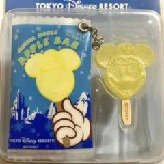 ディズニーランド パークフード ミニチュアフィギュア ミニーマウス アイスバー