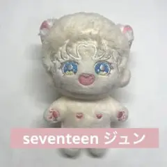 【週末値下げ】SEVENTEEN ジュン ぬいぐるみ DOLL JUN 文俊辉 ジュン セブチ ぬいぐるみ ドール 20cm seventeen キャラクター