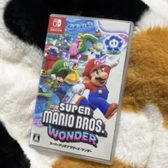 Switchソフト スーパーマリオブラザーズ・ワンダー