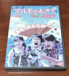 マルモのおきてスペシャル dvd 比嘉愛未/外岡えりか