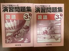 四谷大塚ジュニア予習シリーズ 国語 3年 上下巻セット