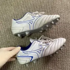 モナルシーダネオ