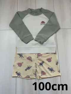 【美品】プティマイン　水着　100cm セット　ラッシュ　恐竜　スイムウェア上下