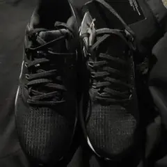 NIKE ペガサス39  25.5cm