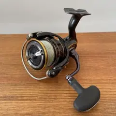DAIWA ダイワ 21カルディア LT4000-cxh