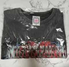 櫻坂46 SAKURAZAKA46ロックTシャツ Mサイズ 京セラドーム