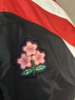 Item thumbnail for item 4bee669b-ea1b-4ef4-92ea-3f7af4855714