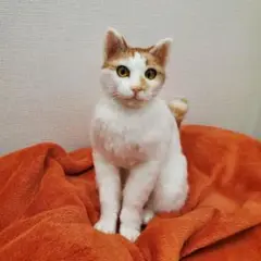 Item thumbnail for item 64be1655-9e79-4020-a95f-fa9eed353dd7