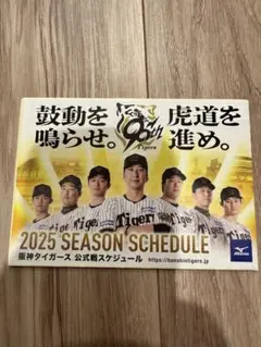 ⭐️阪神タイガース 2025年公式戦スケジュール⭐️