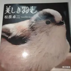 美しき羽毛