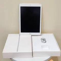 【訳あり特価】iPad Air 2（セルラーモデル）