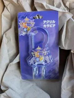 サンフレッチェ×ポケモンセンターヒロシマ アクリルカラビナ