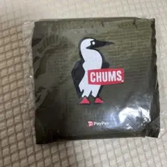 Item thumbnail for item c70abb1f-c2db-4d44-afb1-9d80761fdf3e