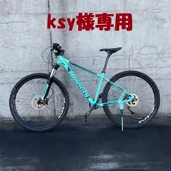 Bianchi 2020 MAGMA 29.1 MTB カスタム
