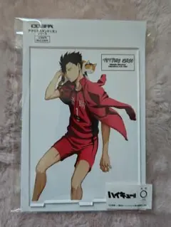 ハイキュー 黒尾鉄朗 アクリルスタンド