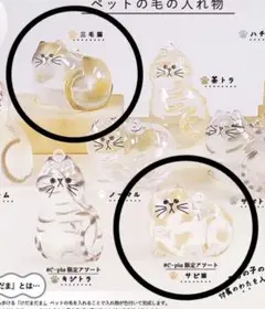 シープラ　けだまだま