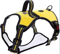 Item thumbnail for item fa90c74c-10fa-461e-abd1-95db218006d0
