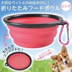 アウトドア 散歩 フードボウル 水分補給 折り畳み式 ピンクカラー