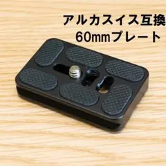Item thumbnail for item 126bd945-2916-446a-b315-8a02afa09d7c