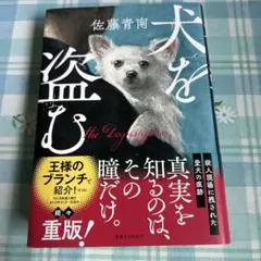 犬を盗む 佐藤青南