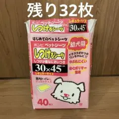 Item thumbnail for item ff13ab0f-286c-4db2-86c4-fb66a1063265