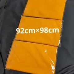 Item thumbnail for item b13bffb2-74c8-4096-9f55-8dc3b1b498ce