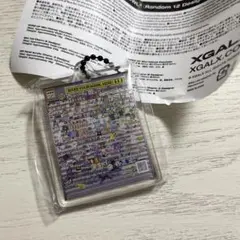 XG カプセルトイ　ギフトパネルアクリルチャーム　FUKUOKA OSAKA2